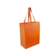 BOLSA ECOLOGICA ENVIRONMENT PROMOCIONAL