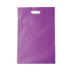 Bolsa ecológica de Non Woven porta documentos Ecox COX termo sellada