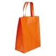 Bolsa ecológica de Non Woven AVERY