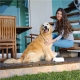 Plato plástico para mascota MEALTIME