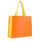 Bolsa bicolor de Non Woven con fuelle SOIRA