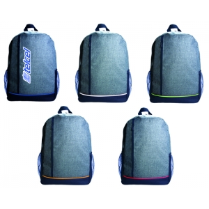 Mochila tipo Backpack con compartimentos