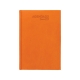 Agenda Diaria 2020 grabable 170 hojas