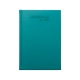 Agenda Diaria 2020 grabable 170 hojas