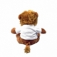Peluche de leon chico
