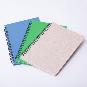 Cuaderno ecológico de cubierta de fibra de trigo