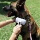 Cepillo removedor de pelo para mascota