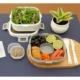 Contenedor de alimentos de plástico con 2 compartimientos