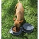 Plato doble compartimento para alimento de mascota cap de 250 ml