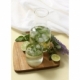 Jarra transparente con capacidad de 700ml incluye vaso