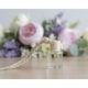 Botella Eolo Aromas color beige