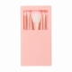 Set de 5 brochas de maquillaje con espejo y estuche de plástico Jager