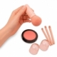 Set compacto de 4 brochas de maquillaje de plástico Aina